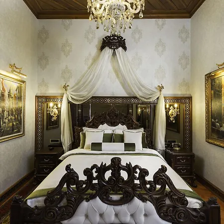 1207 Special Class Hotel